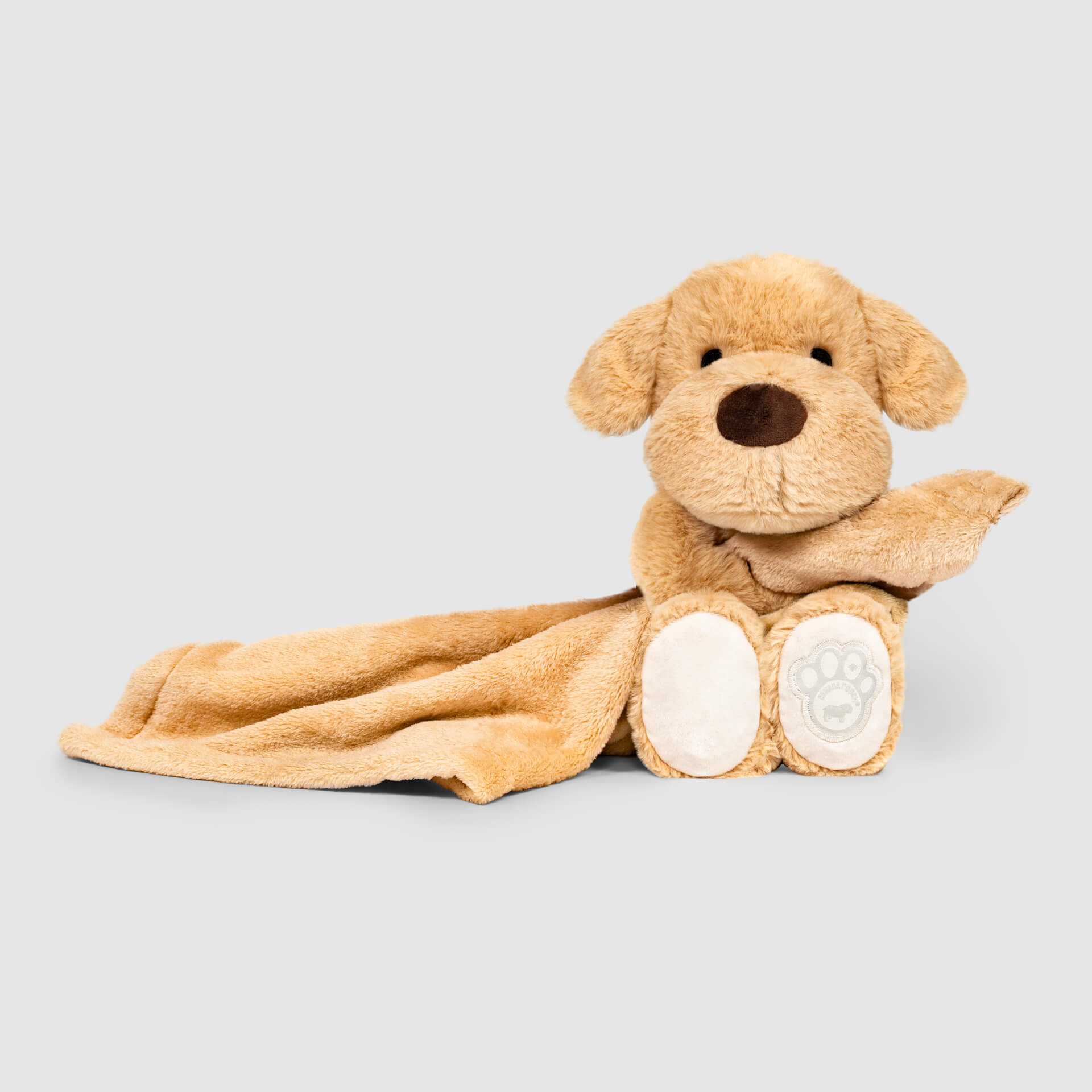 Weighted Calming Toy D2